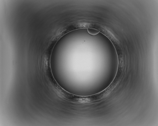 X0000116260363200912071027