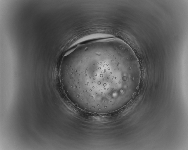 X0000116260367200912071027