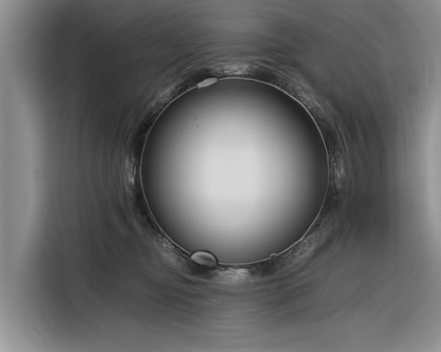 X0000116260374200912071027