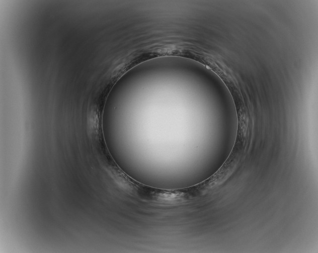 X0000116260375200912071027