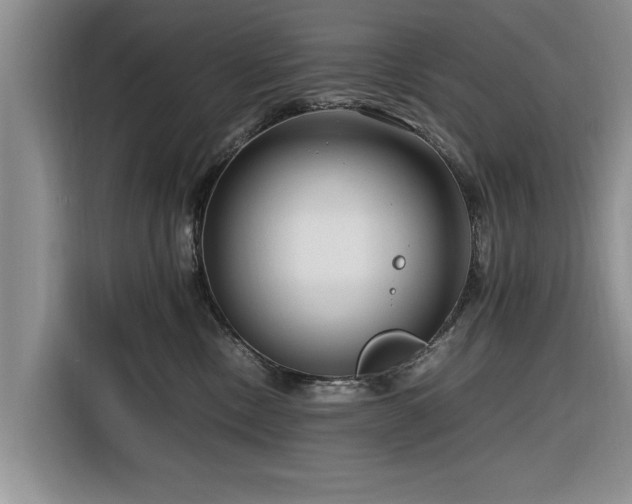 X0000116260378200912071027
