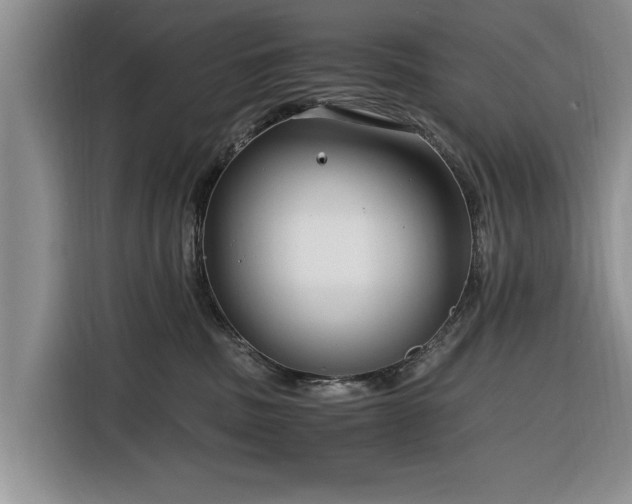 X0000116260379200912071027