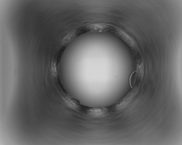 X0000116260381200912071027