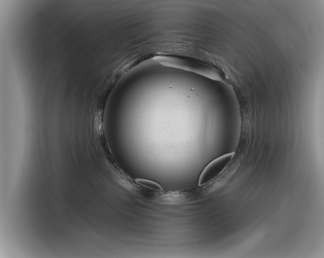 X0000116260383200912071027