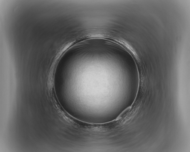 X0000116260385200912071026