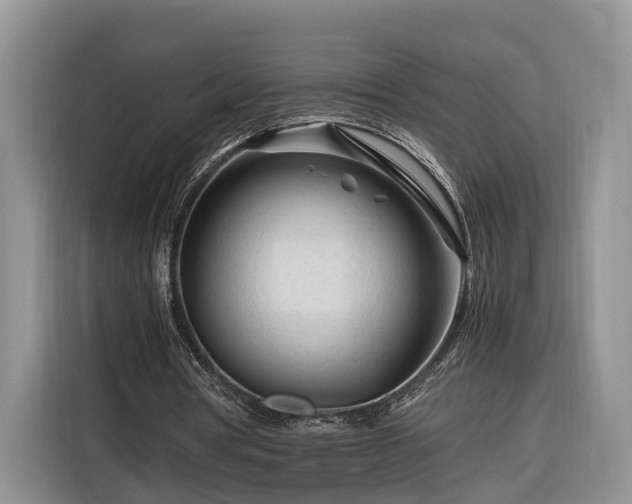 X0000116260386200912071026