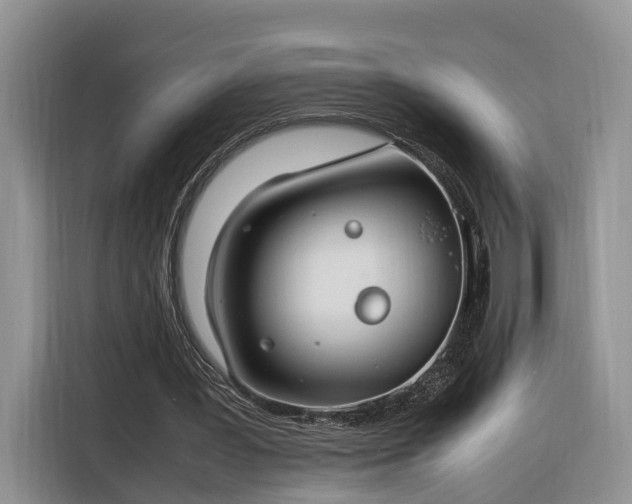 X0000116260387200912071026