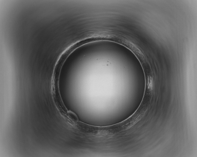 X0000116260388200912071026
