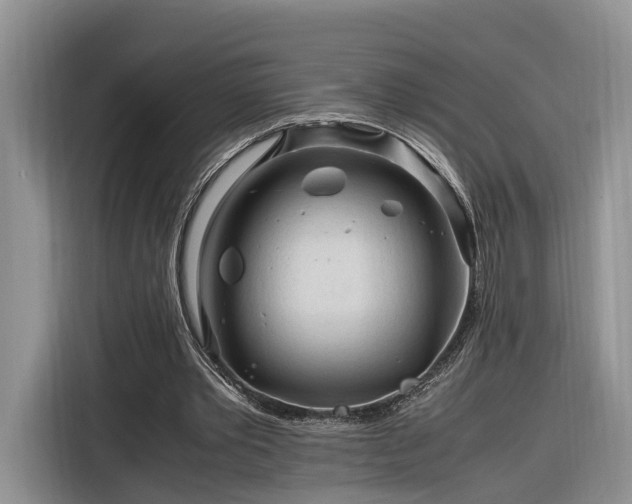 X0000116260389200912071026