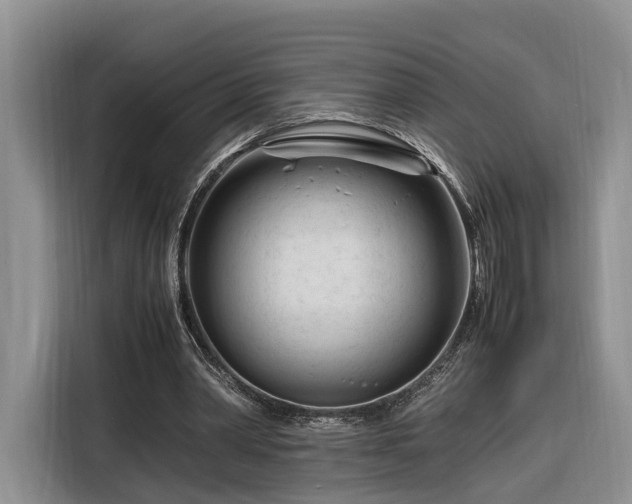 X0000116260390200912071026