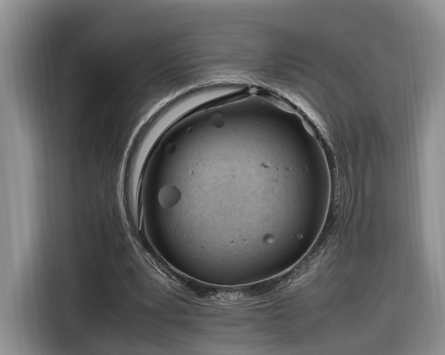 X0000116260391200912071026