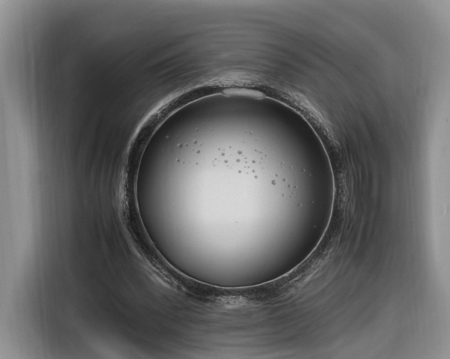 X0000116260392200912071026
