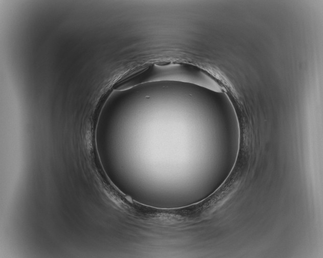 X0000116260393200912071026