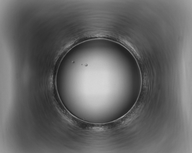 X0000116260394200912071026