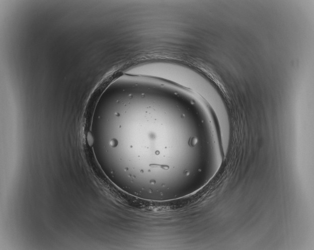 X0000116260395200912071026