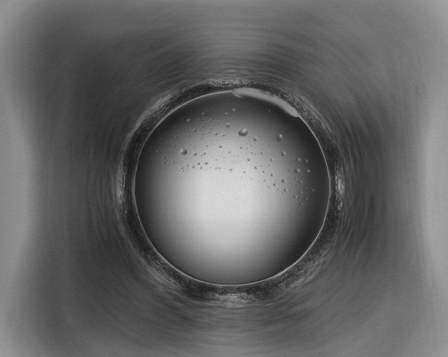 X0000116260396200912071026