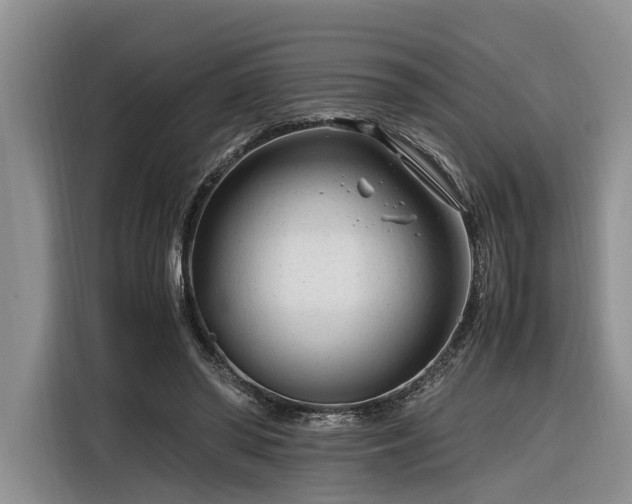 X0000116260398200912071026