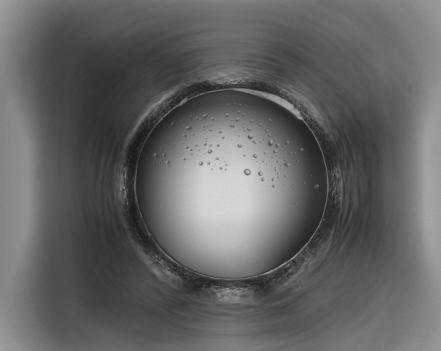 X0000116260400200912071026