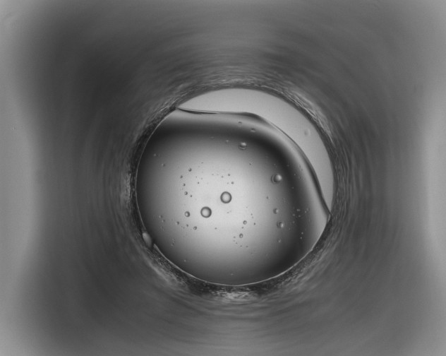 X0000116260401200912071026