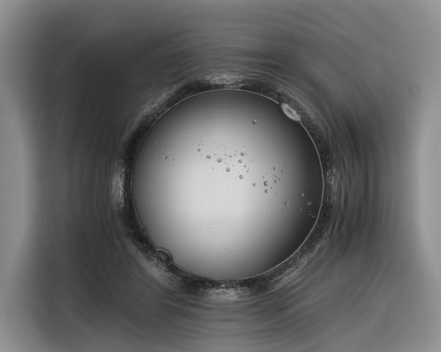 X0000116260404200912071026