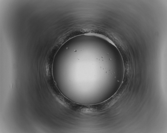 X0000116260408200912071026