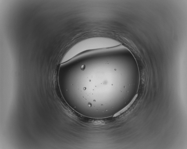 X0000116260409200912071026