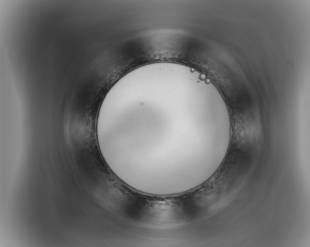 X0000116260411200912071026