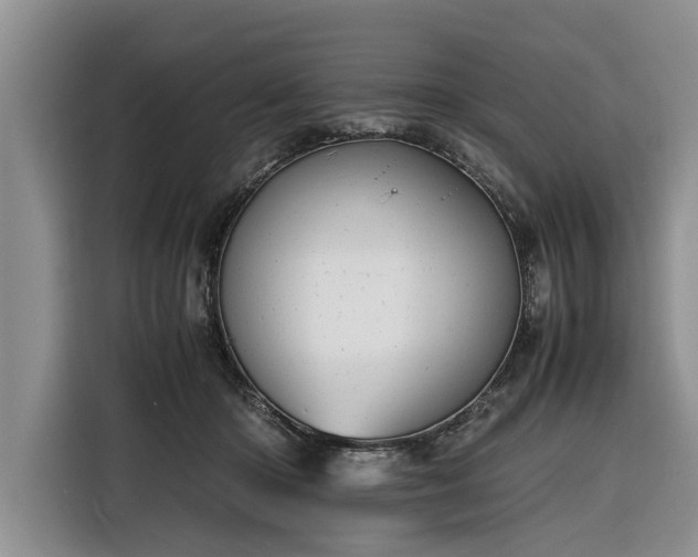 X0000116260414200912071026