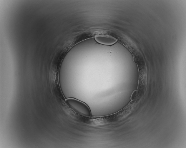 X0000116260417200912071026