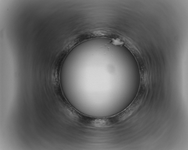 X0000116260418200912071026