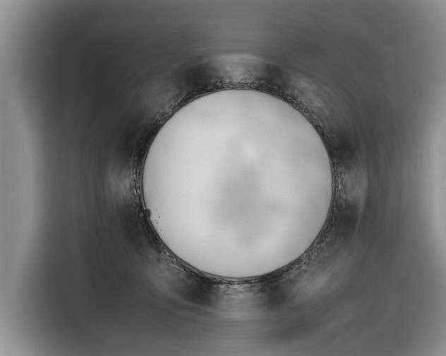 X0000116260419200912071026
