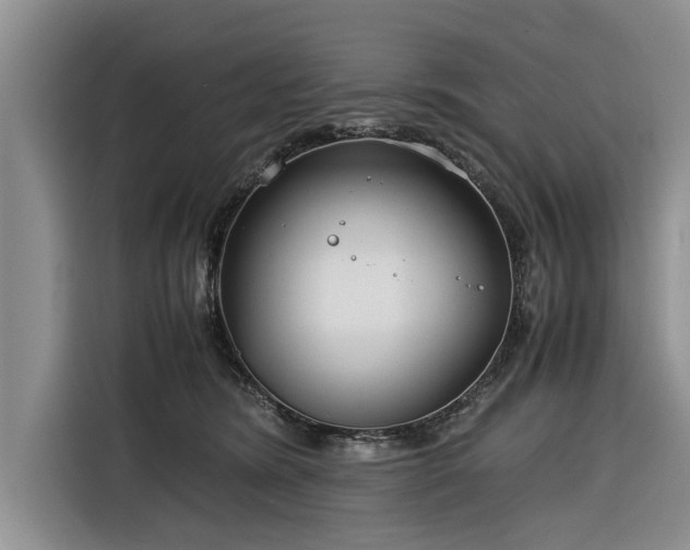 X0000116260420200912071026