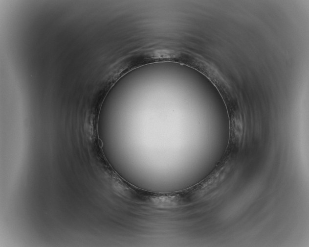 X0000116260422200912071026