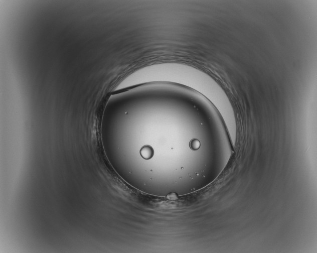 X0000116260423200912071026