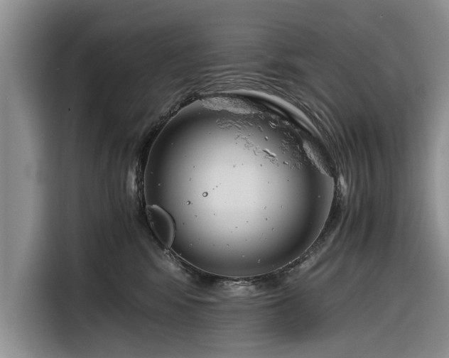 X0000116260424200912071026