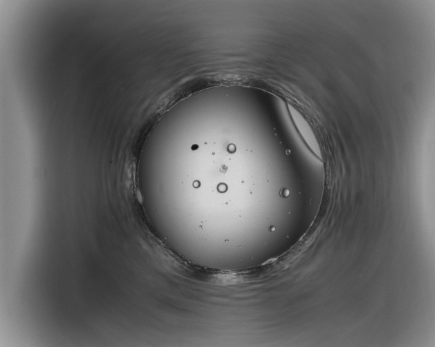 X0000116260425200912071026
