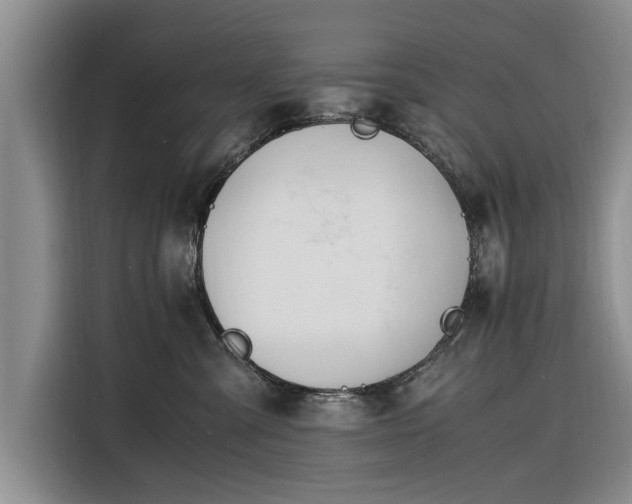 X0000116260427200912071026