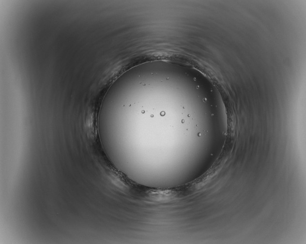 X0000116260428200912071026