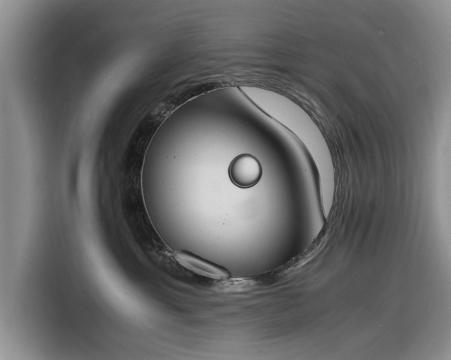 X0000116260429200912071026