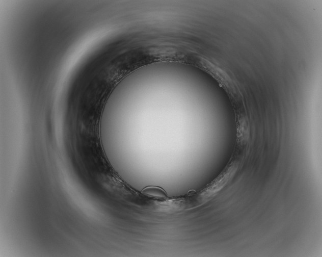 X0000116260430200912071026