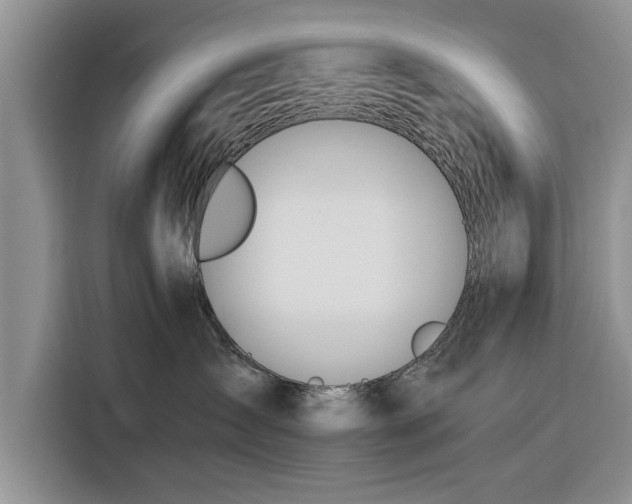 X0000116260431200912071026