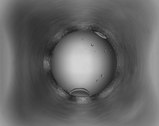 X0000116260432200912071026