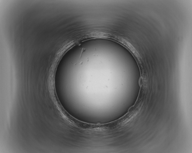 X0000116260433200912071025