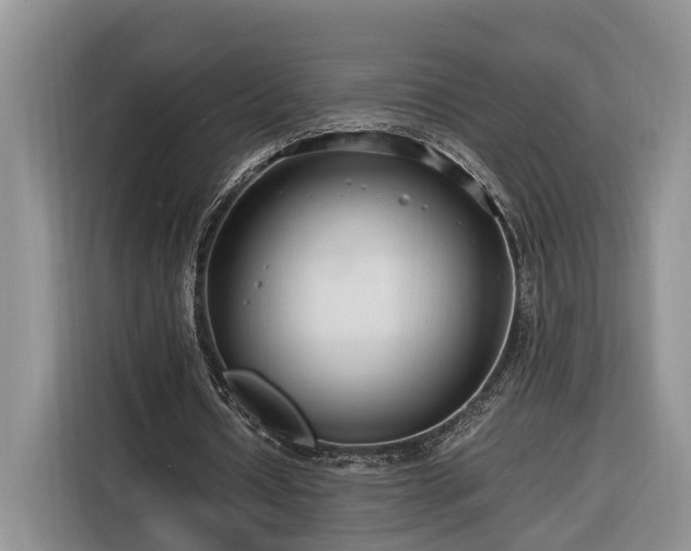 X0000116260434200912071025