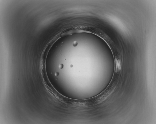 X0000116260435200912071025