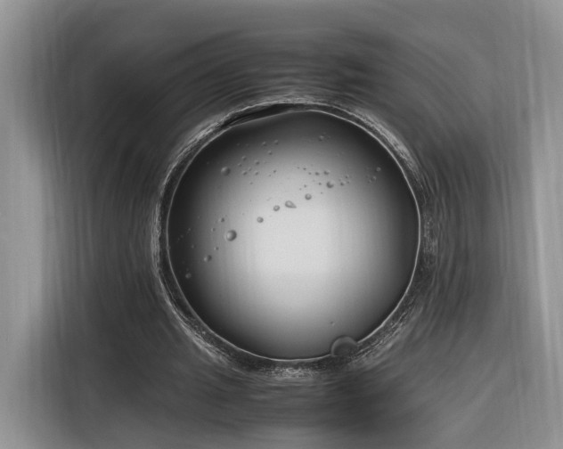 X0000116260437200912071025