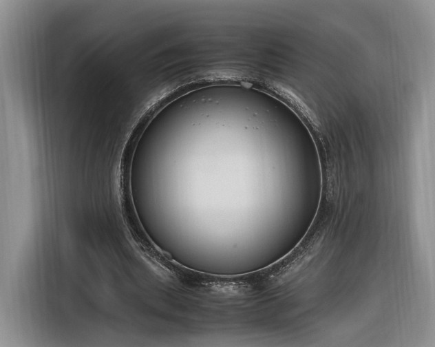 X0000116260439200912071025