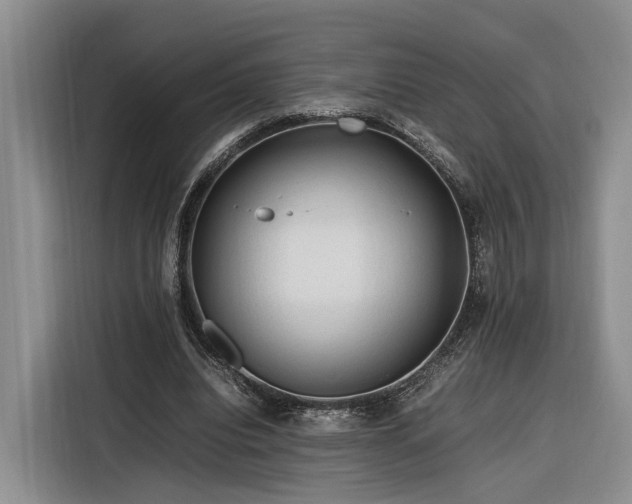 X0000116260440200912071025