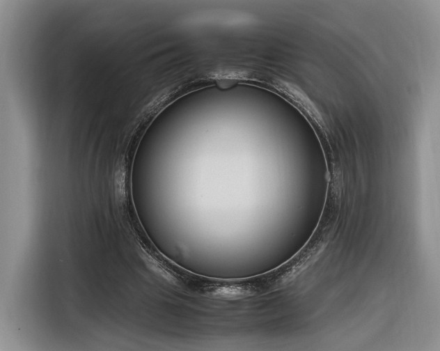 X0000116260441200912071025