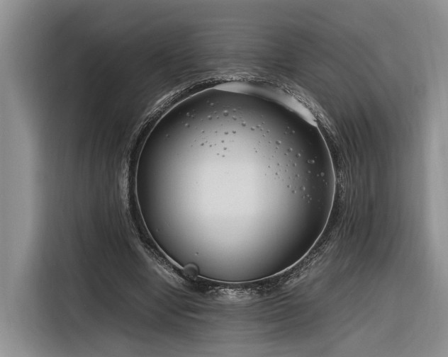 X0000116260442200912071025